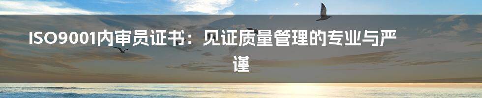 ISO9001内审员证书：见证质量管理的专业与严谨