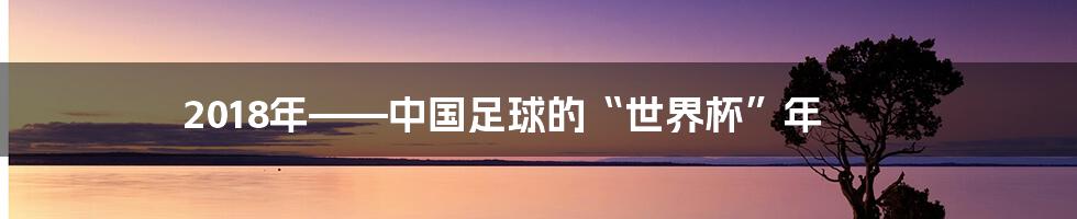 2018年——中国足球的“世界杯”年