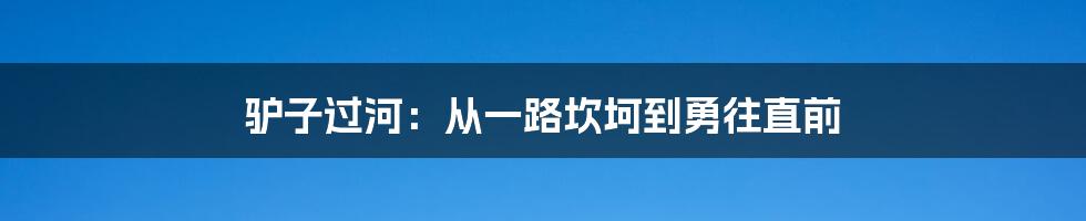 驴子过河:从一路坎坷到勇往直前