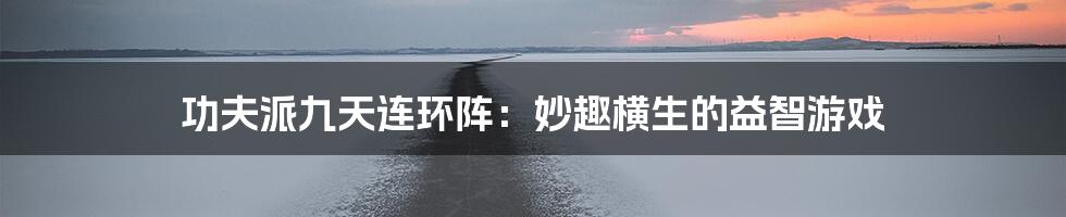 功夫派九天连环阵:妙趣横生的益智游戏