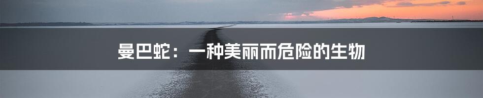 曼巴蛇:一种美丽而危险的生物