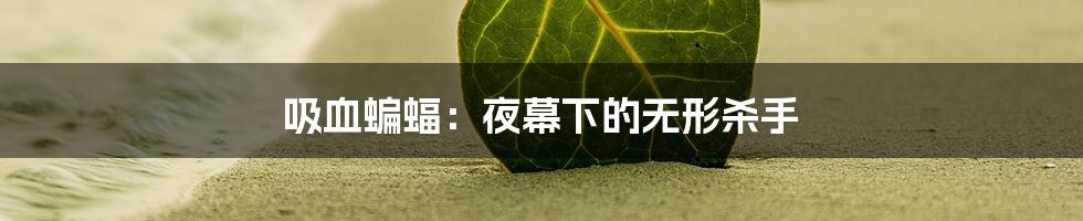 吸血蝙蝠：夜幕下的无形杀手