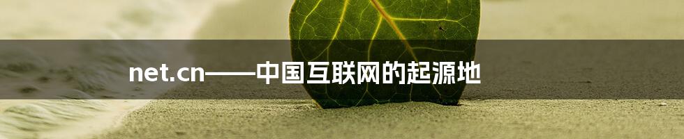 net.cn——中国互联网的起源地