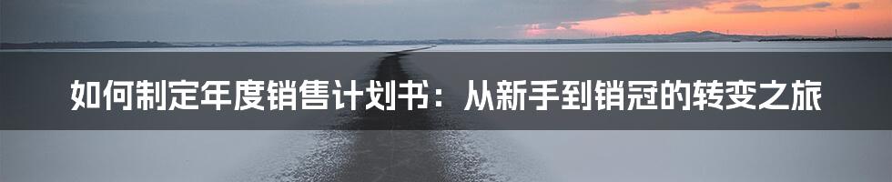 如何制定年度销售计划书:从新手到销冠的转变之旅