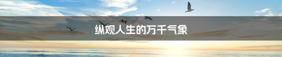 纵观人生的万千气象