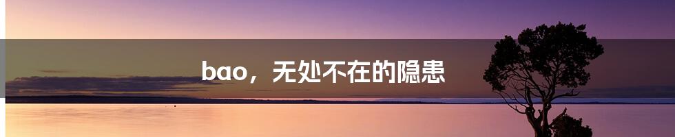 bao,无处不在的隐患