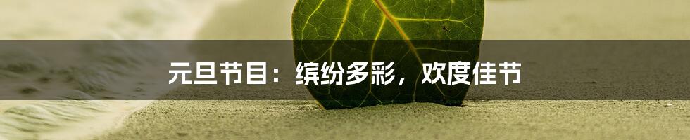 元旦节目：缤纷多彩，欢度佳节