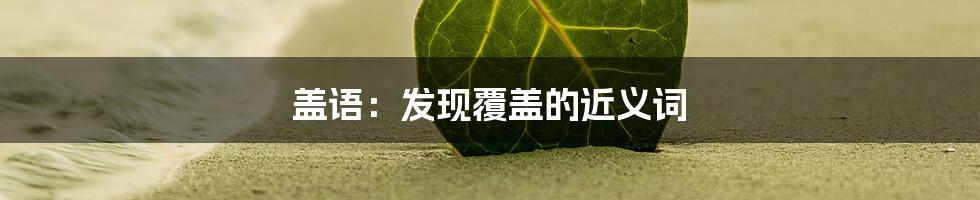 盖语：发现覆盖的近义词