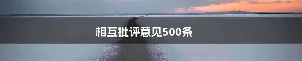 相互批评意见500条