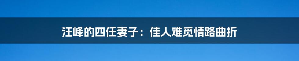 汪峰的四任妻子:佳人难觅情路曲折