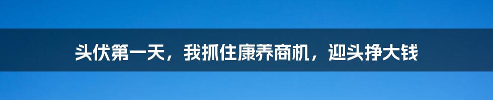 头伏第一天,我抓住康养商机,迎头挣大钱