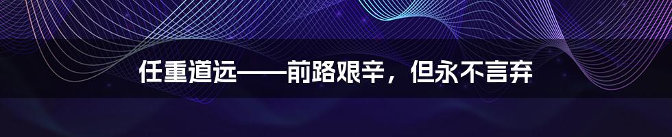 任重道远——前路艰辛,但永不言弃