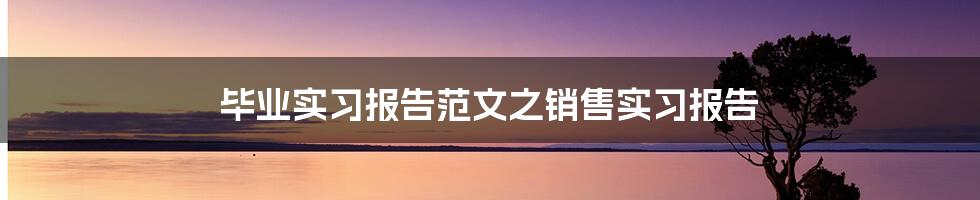 毕业实习报告范文之销售实习报告