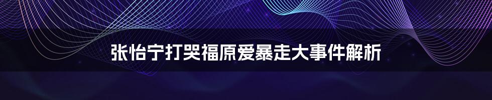 张怡宁打哭福原爱暴走大事件解析