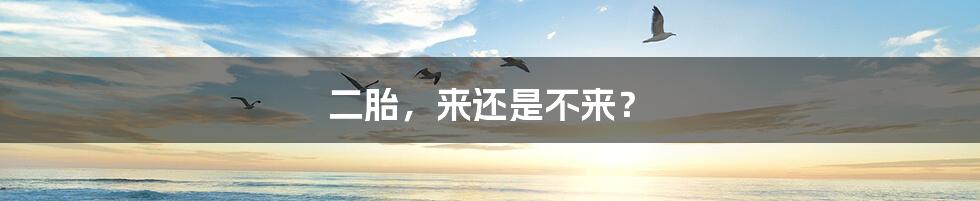 二胎,来还是不来?