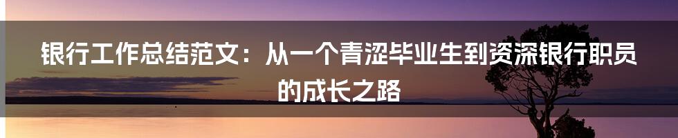 银行工作总结范文:从一个青涩毕业生到资深银行职员的成长之路