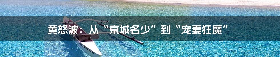 黄怒波:从“京城名少”到“宠妻狂魔”