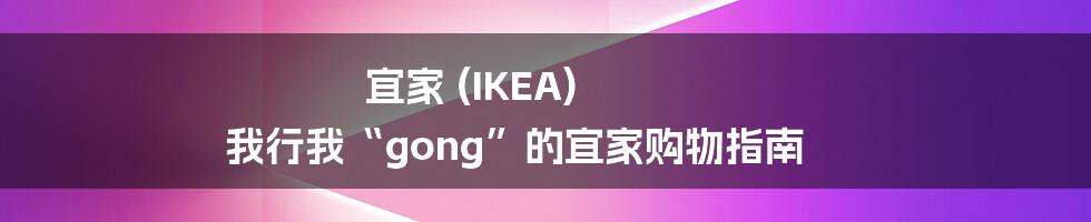 宜家 (IKEA) 我行我“gong”的宜家购物指南