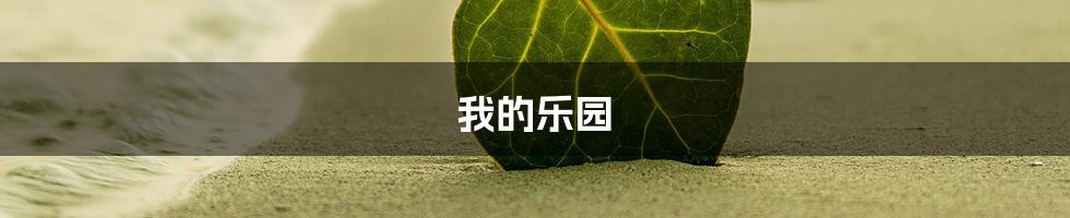 我的乐园