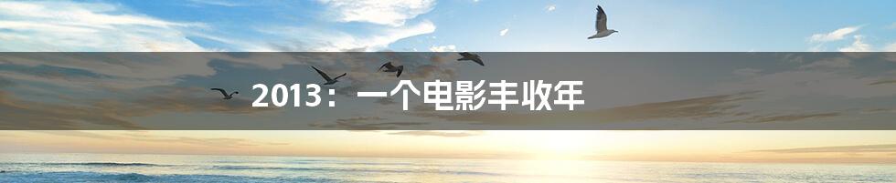 2013:一个电影丰收年