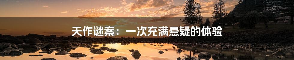 天作谜案：一次充满悬疑的体验