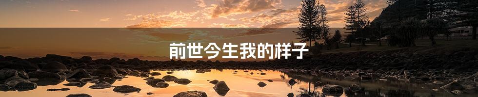 前世今生我的样子