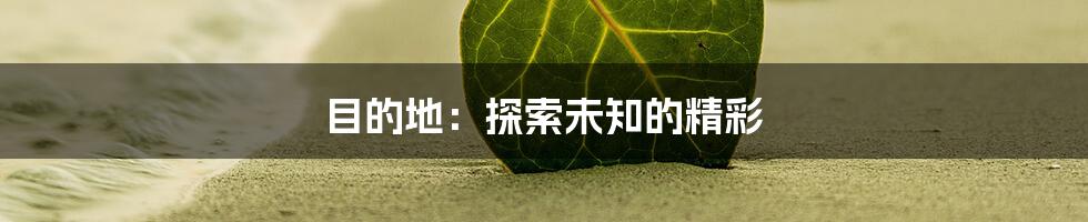 目的地:探索未知的精彩