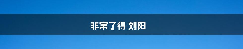 非常了得 刘阳