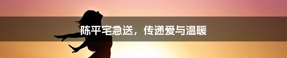 陈平宅急送,传递爱与温暖