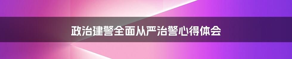 政治建警全面从严治警心得体会