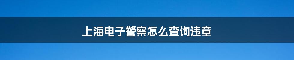 上海电子警察怎么查询违章