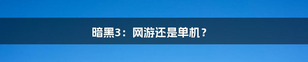 暗黑3：网游还是单机？