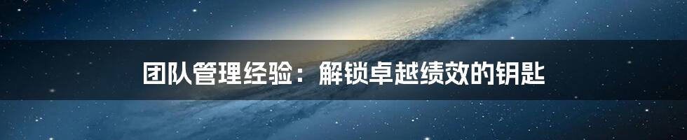 团队管理经验：解锁卓越绩效的钥匙