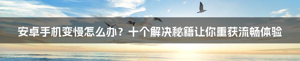 安卓手机变慢怎么办？十个解决秘籍让你重获流畅体验