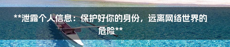 **泄露个人信息:保护好你的身份,远离网络世界的危险**