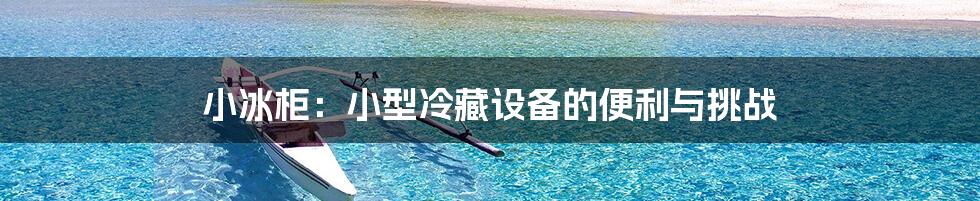 小冰柜：小型冷藏设备的便利与挑战