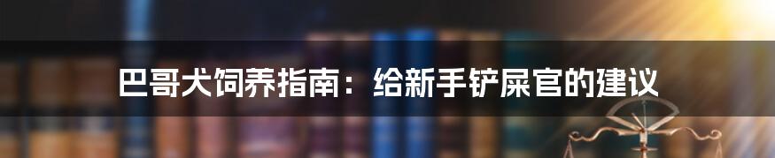 巴哥犬饲养指南：给新手铲屎官的建议