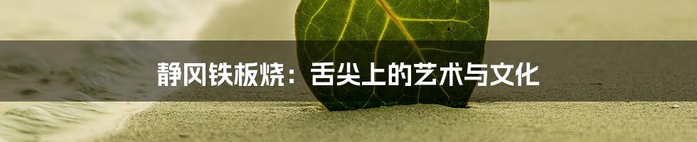 静冈铁板烧:舌尖上的艺术与文化