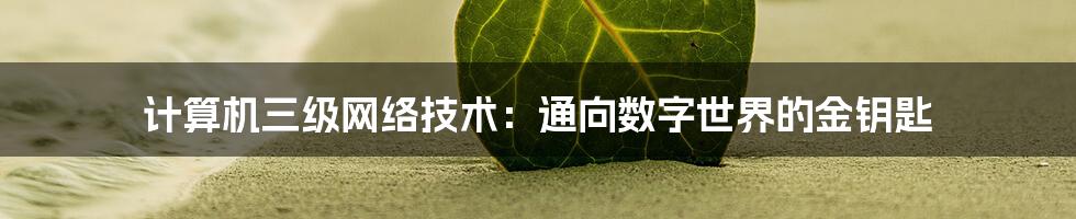 计算机三级网络技术：通向数字世界的金钥匙