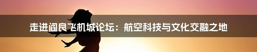 走进阎良飞机城论坛：航空科技与文化交融之地