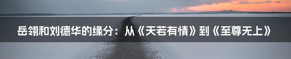 岳翎和刘德华的缘分:从《天若有情》到《至尊无上》