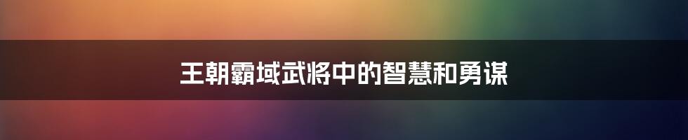 王朝霸域武将中的智慧和勇谋