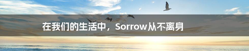 在我们的生活中,Sorrow从不离身