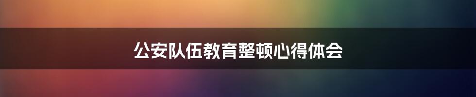 公安队伍教育整顿心得体会