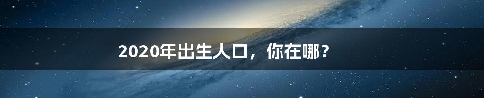 2020年出生人口，你在哪？