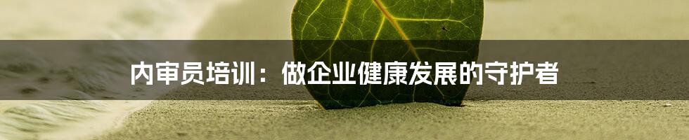 内审员培训:做企业健康发展的守护者