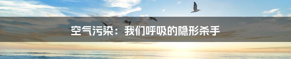 空气污染:我们呼吸的隐形杀手