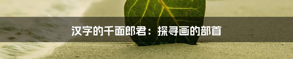 汉字的千面郎君:探寻画的部首