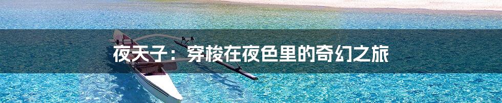 夜天子：穿梭在夜色里的奇幻之旅