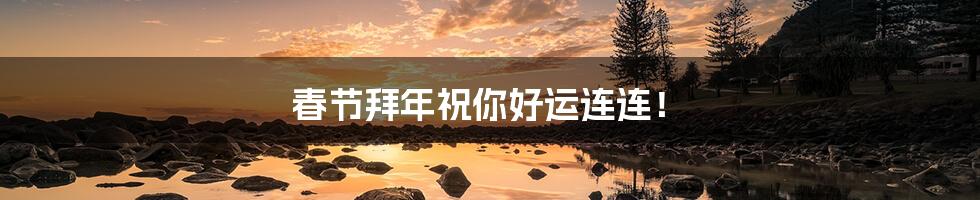 春节拜年祝你好运连连!